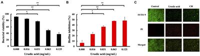 Ursolic Acid Targets Glucosyltransferase and Inhibits Its Activity to Prevent Streptococcus mutans Biofilm Formation